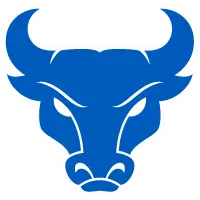 ubbulls.com